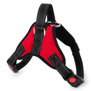 Adjustable Pet Harness