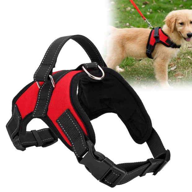 Adjustable Pet Harness