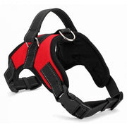 Adjustable Pet Harness